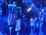 img0015.jpg