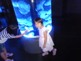 img0019.jpg