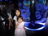 img0020.jpg