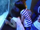 img0021.jpg