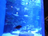 img0023.jpg