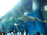 img0025.jpg