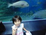 img0026.jpg