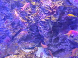 img0038.jpg