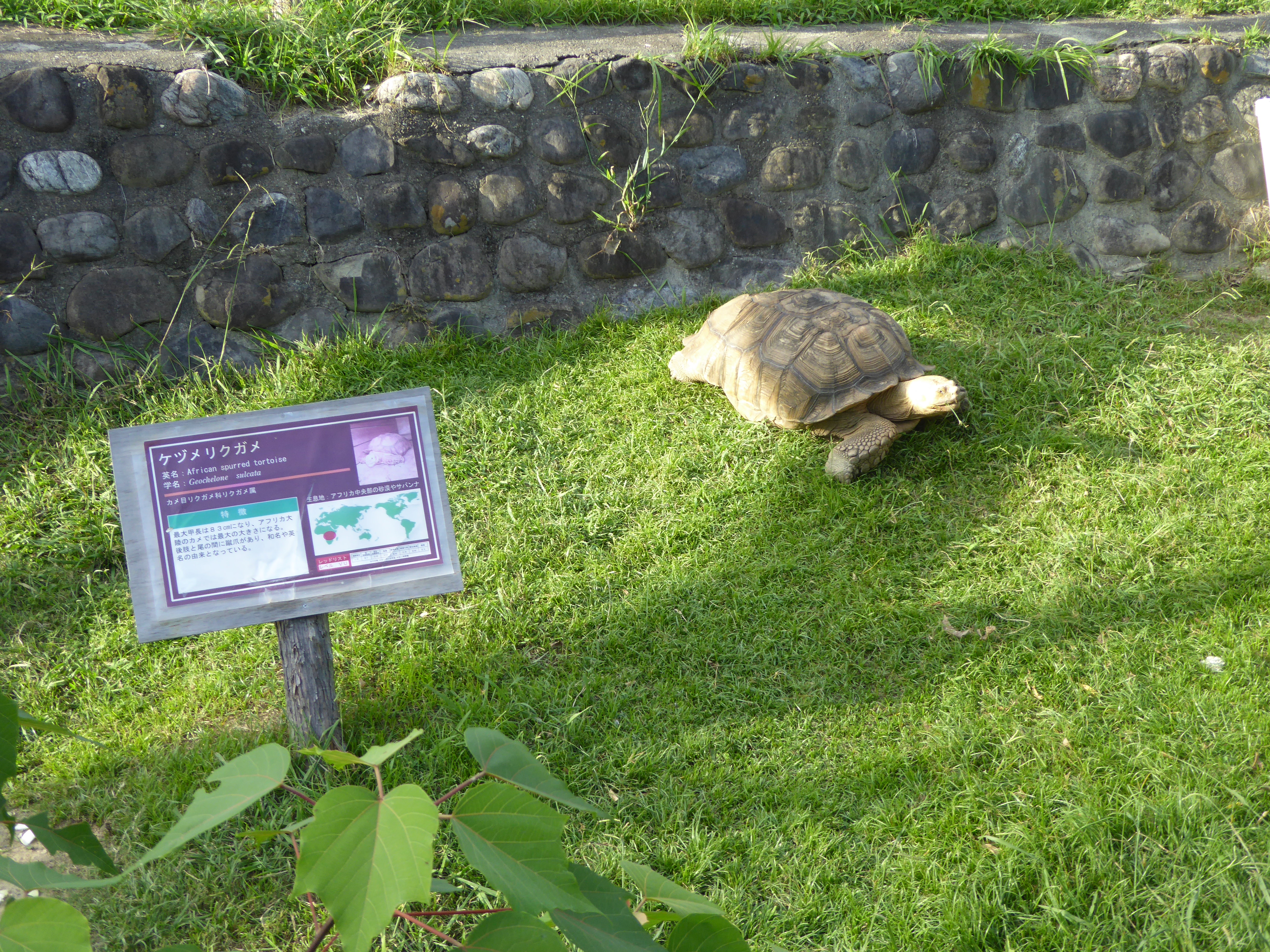 P1040073.JPG