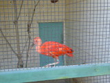img0001.jpg