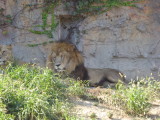 img0002.jpg