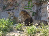 img0003.jpg