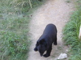 img0005.jpg