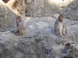 img0006.jpg