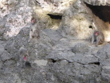 img0007.jpg