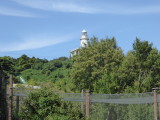 img0009.jpg