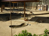 img0013.jpg