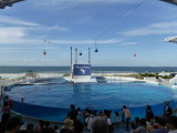 img0016.jpg