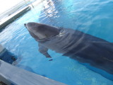 img0018.jpg
