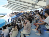 img0019.jpg