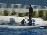img0023.jpg