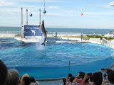 img0024.jpg