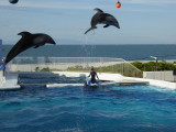 img0027.jpg