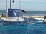 img0029.jpg