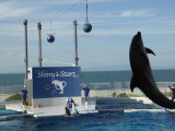 img0030.jpg