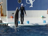 img0033.jpg