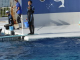 img0034.jpg