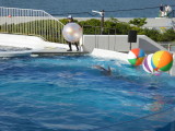 img0036.jpg