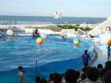 img0037.jpg