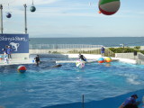 img0038.jpg