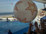 img0039.jpg