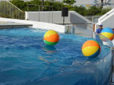 img0040.jpg