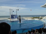 img0041.jpg