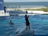 img0042.jpg