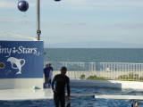 img0043.jpg