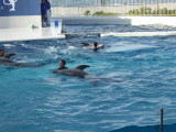 img0045.jpg