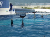 img0047.jpg