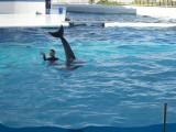img0048.jpg