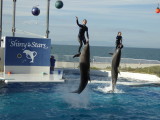 img0050.jpg