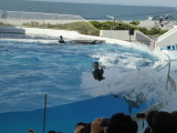 img0051.jpg