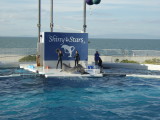 img0053.jpg
