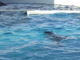 img0055.jpg
