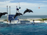 img0057.jpg