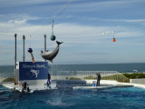 img0060.jpg
