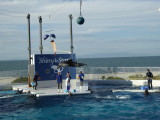 img0062.jpg