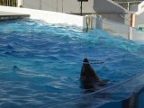 img0064.jpg