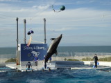img0067.jpg