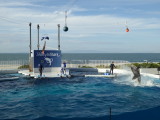 img0071.jpg