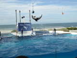 img0072.jpg