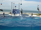 img0075.jpg